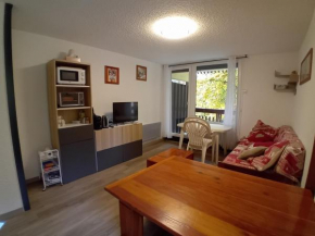 Studio cabine rénové près ski bus, 4 couchages - FR-1-572-301